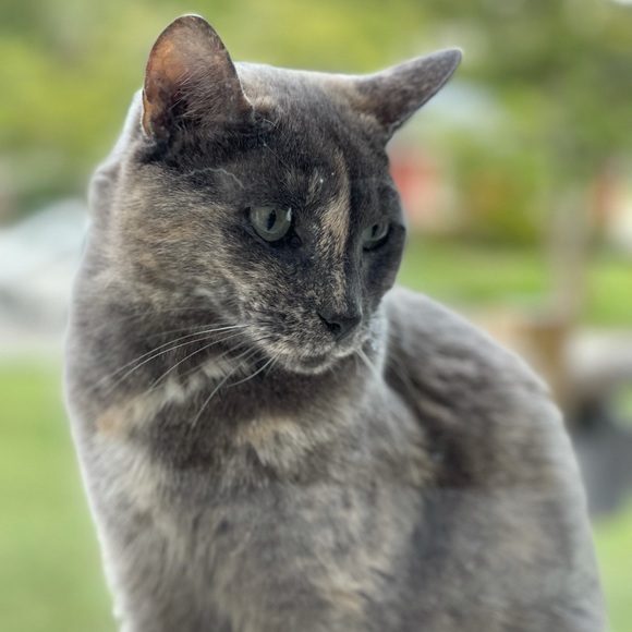 Meet Your Seller - Picture 6 of 9